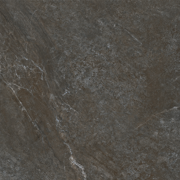 Керамогранит TEO Ceramics Ariya Anthracite F P Mat R 120*120 см серый6