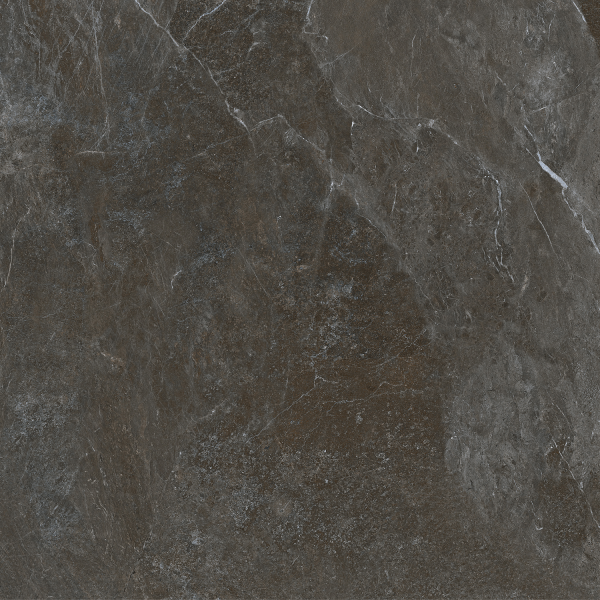 Керамогранит TEO Ceramics Ariya Anthracite F P Mat R 120*120 см серый7