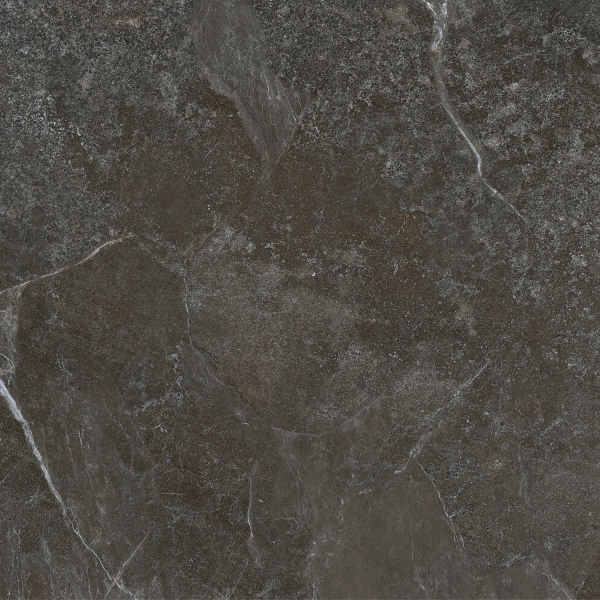 Керамогранит TEO Ceramics Ariya Anthracite F P Mat R 120*120 см серый8
