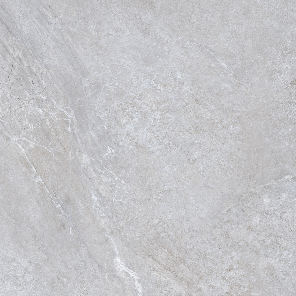 Керамограніт TEO Ceramics Ariya Silver F P Mat R 120*120 см сірий4