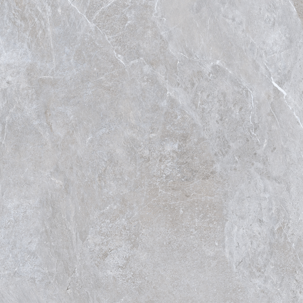 Керамограніт TEO Ceramics Ariya Silver F P Mat R 120*120 см сірий5