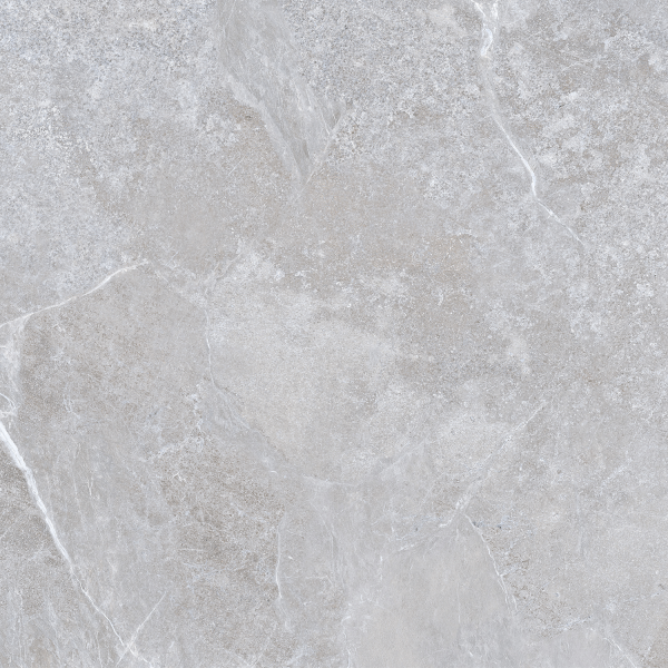 Керамограніт TEO Ceramics Ariya Silver F P Mat R 120*120 см сірий6