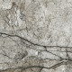 Плитка керамогранітна Marble Skin Grey 598x598x8 Opoczno1