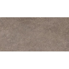 Плитка керамогранітна Urban Champagne Naturale SZKL RECT STR MAT 598x1198x8 Paradyz1