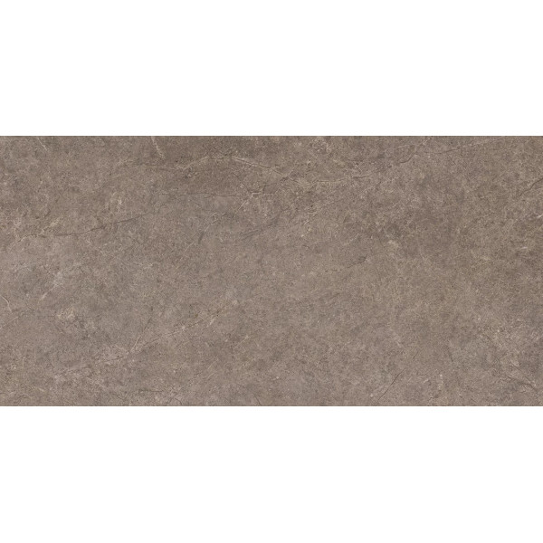 Плитка керамогранітна Urban Champagne Naturale SZKL RECT STR MAT 598x1198x8 Paradyz1